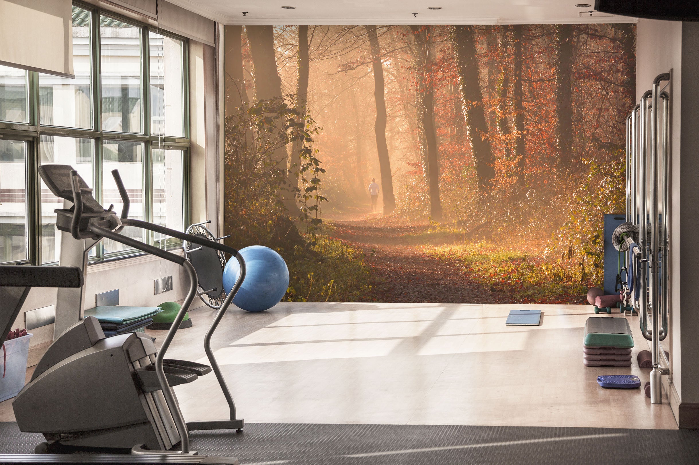 3D Autumn Jungle 207 Wall Murals