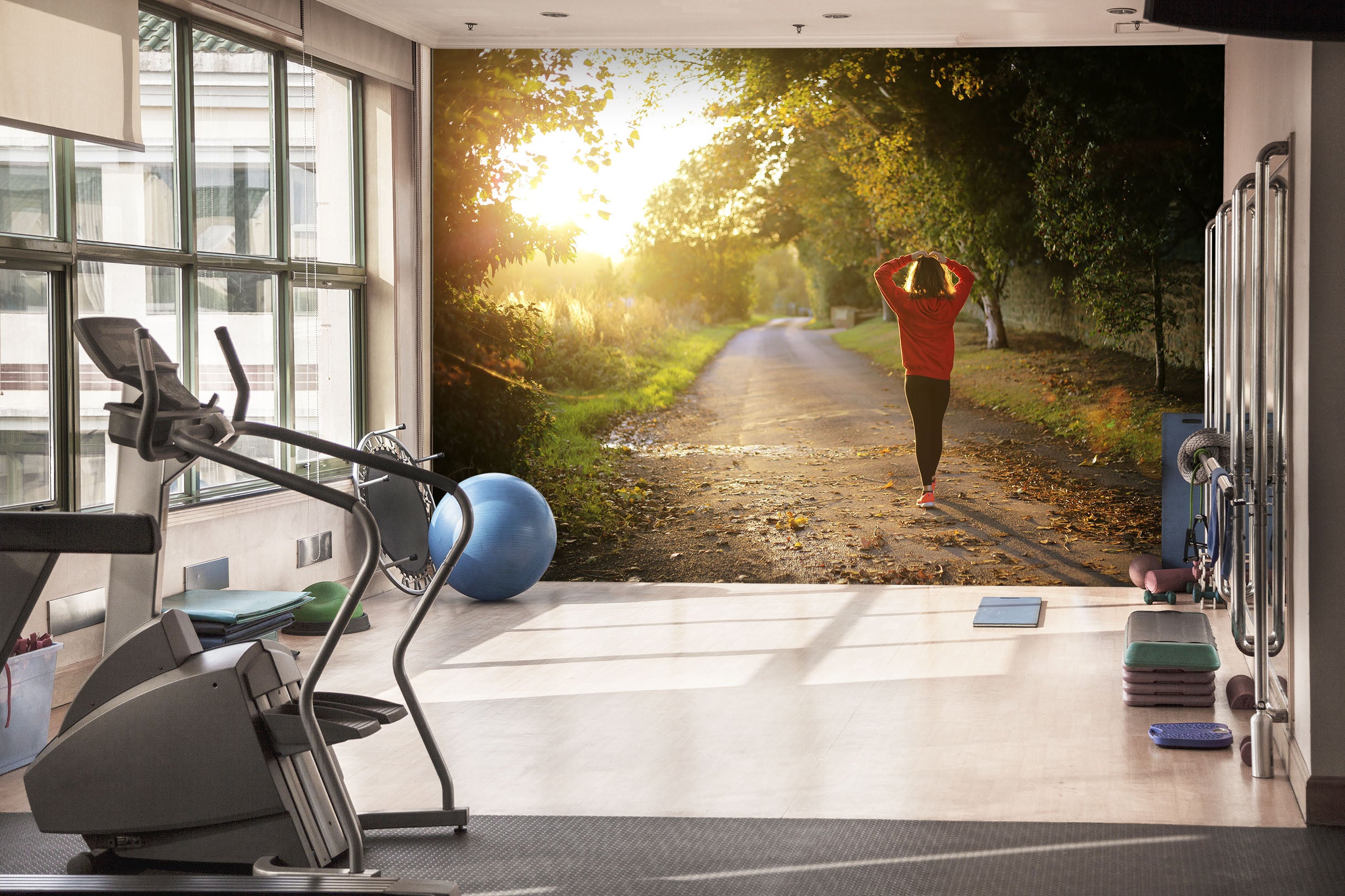 3D Morning Forest 236 Wall Murals