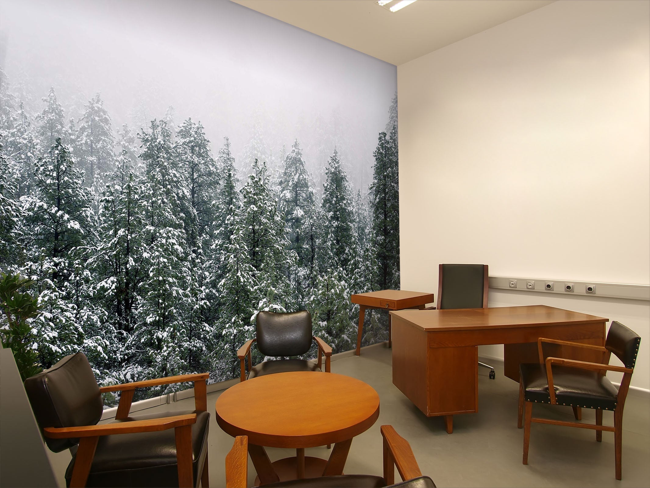 3D Snow Cypress 44 Wall Murals Wallpaper AJ Wallpaper 2