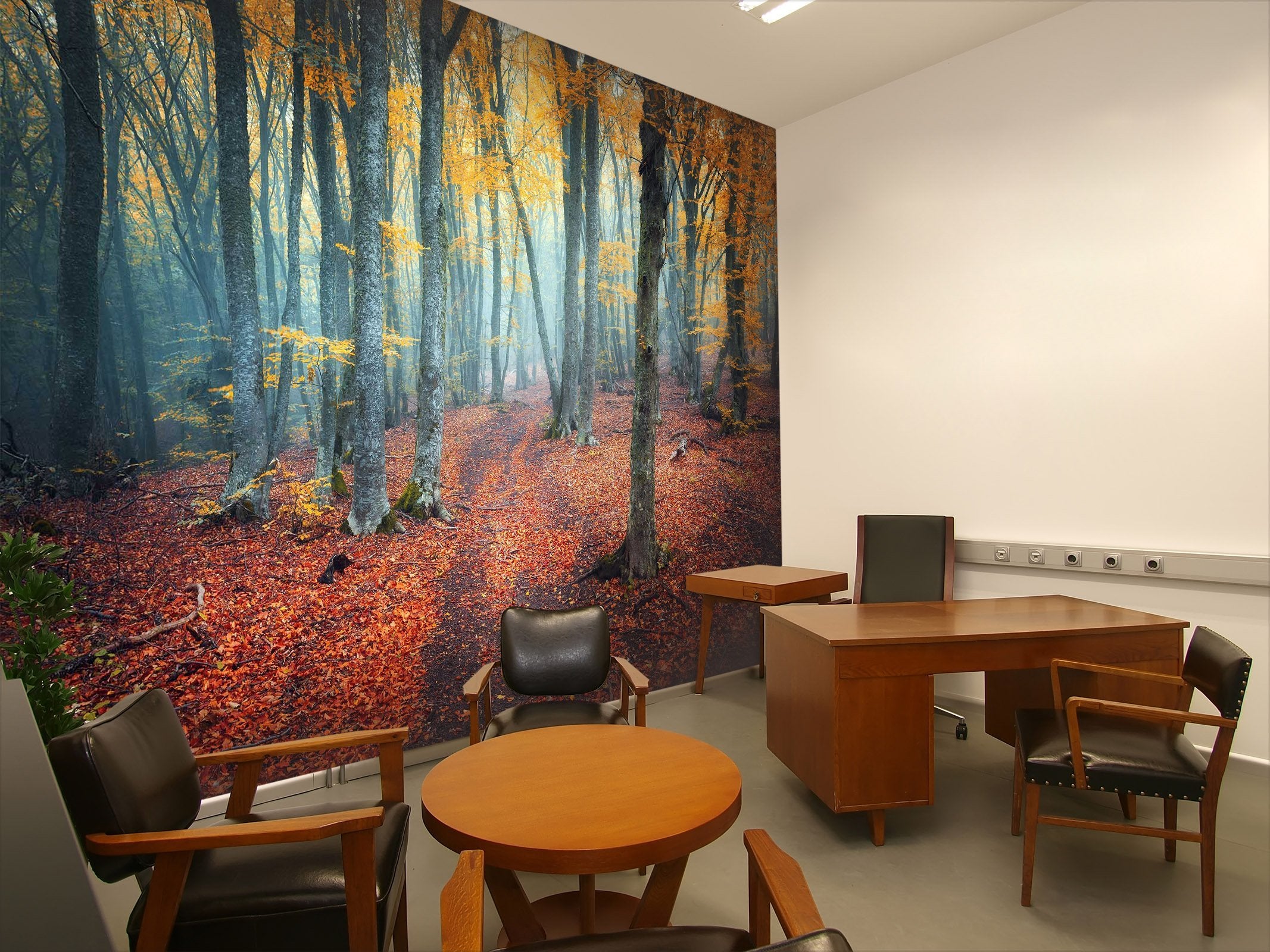 3D forest in fall 12 Wall Murals Wallpaper AJ Wallpaper