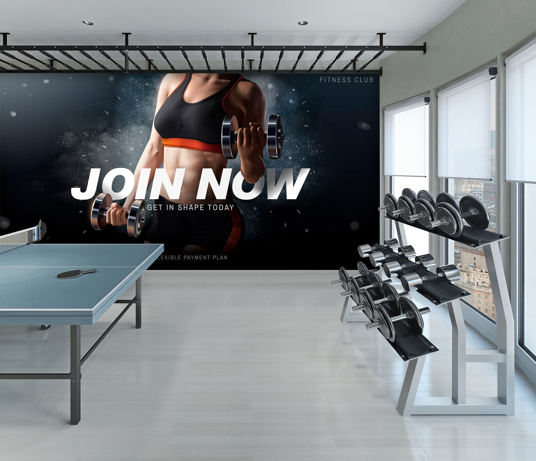 3D Girl Dumbbell 296 Wall Murals