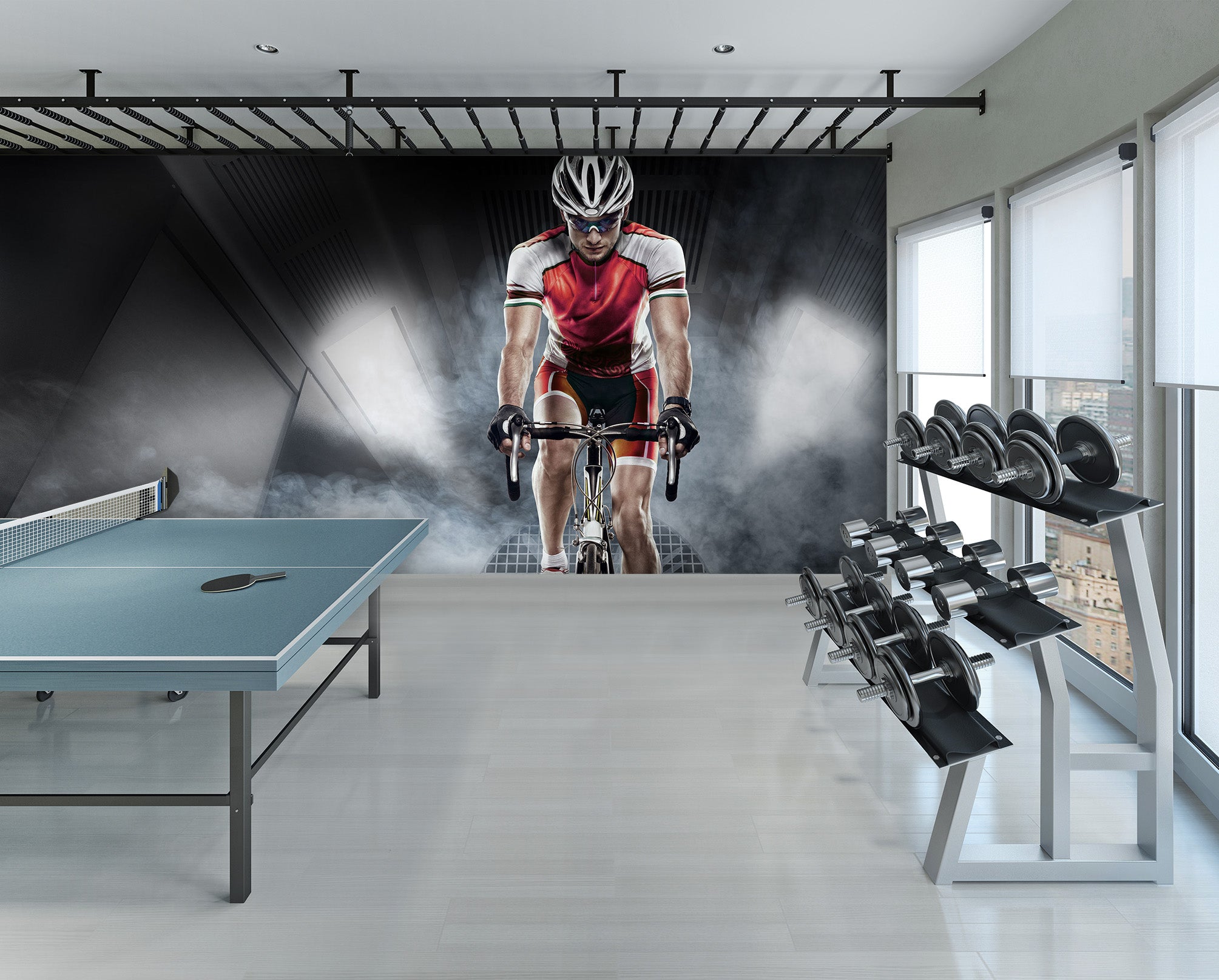 3D Cycling 269 Wall Murals