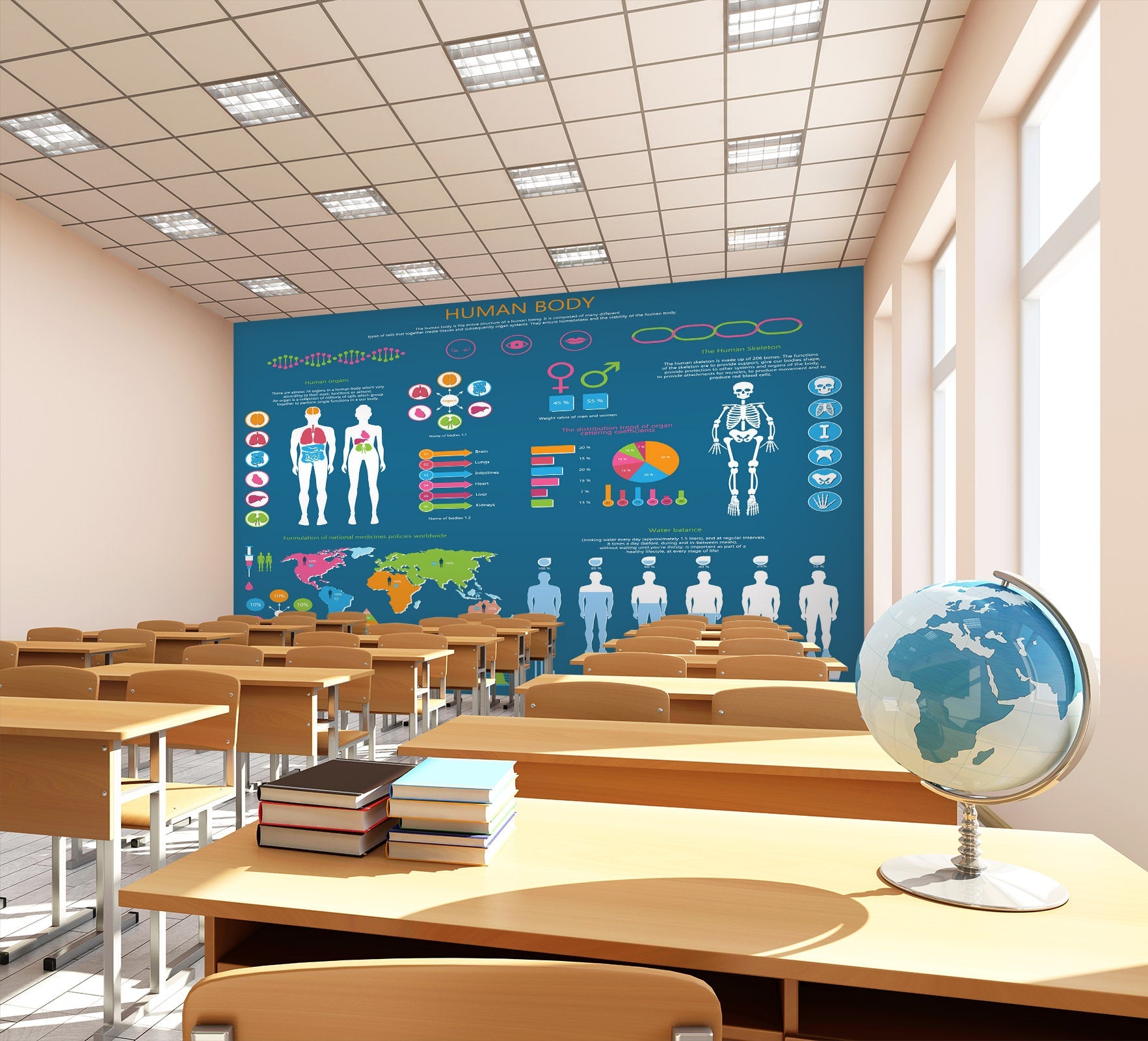 3D Human Body 179 Wall Murals Wallpaper AJ Wallpaper 2