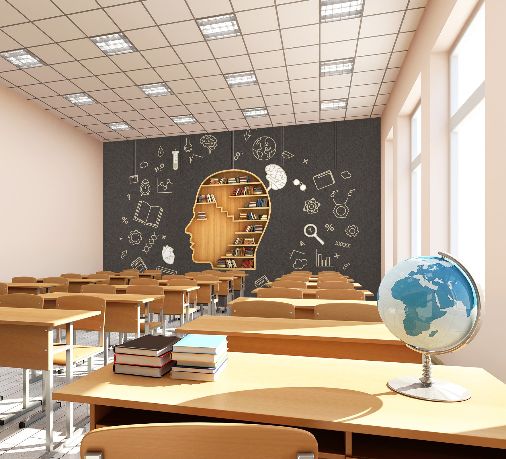 3D Head Bookcase 144 Wall Murals