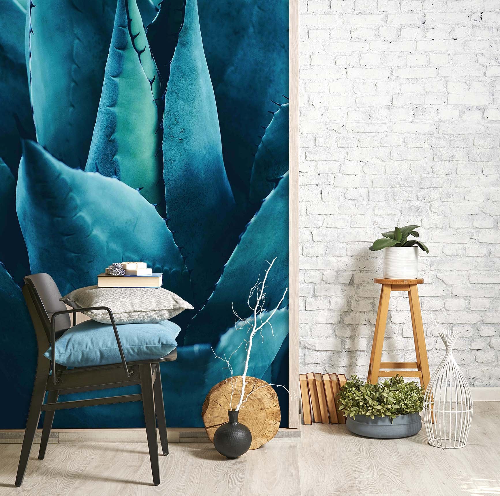 3D Green Aloe 1401 Boris Draschoff Wall Mural Wall Murals