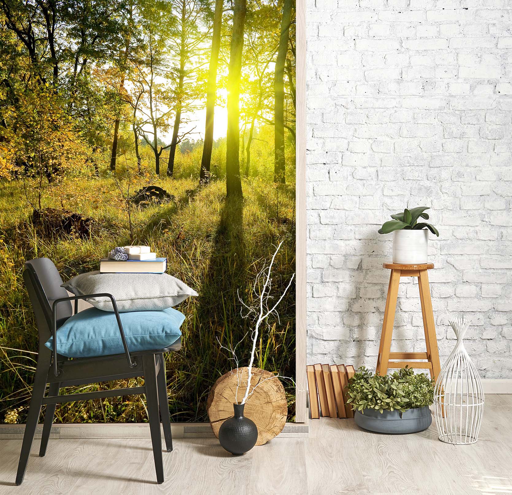 3D Forest Sunlight 080 Wall Murals