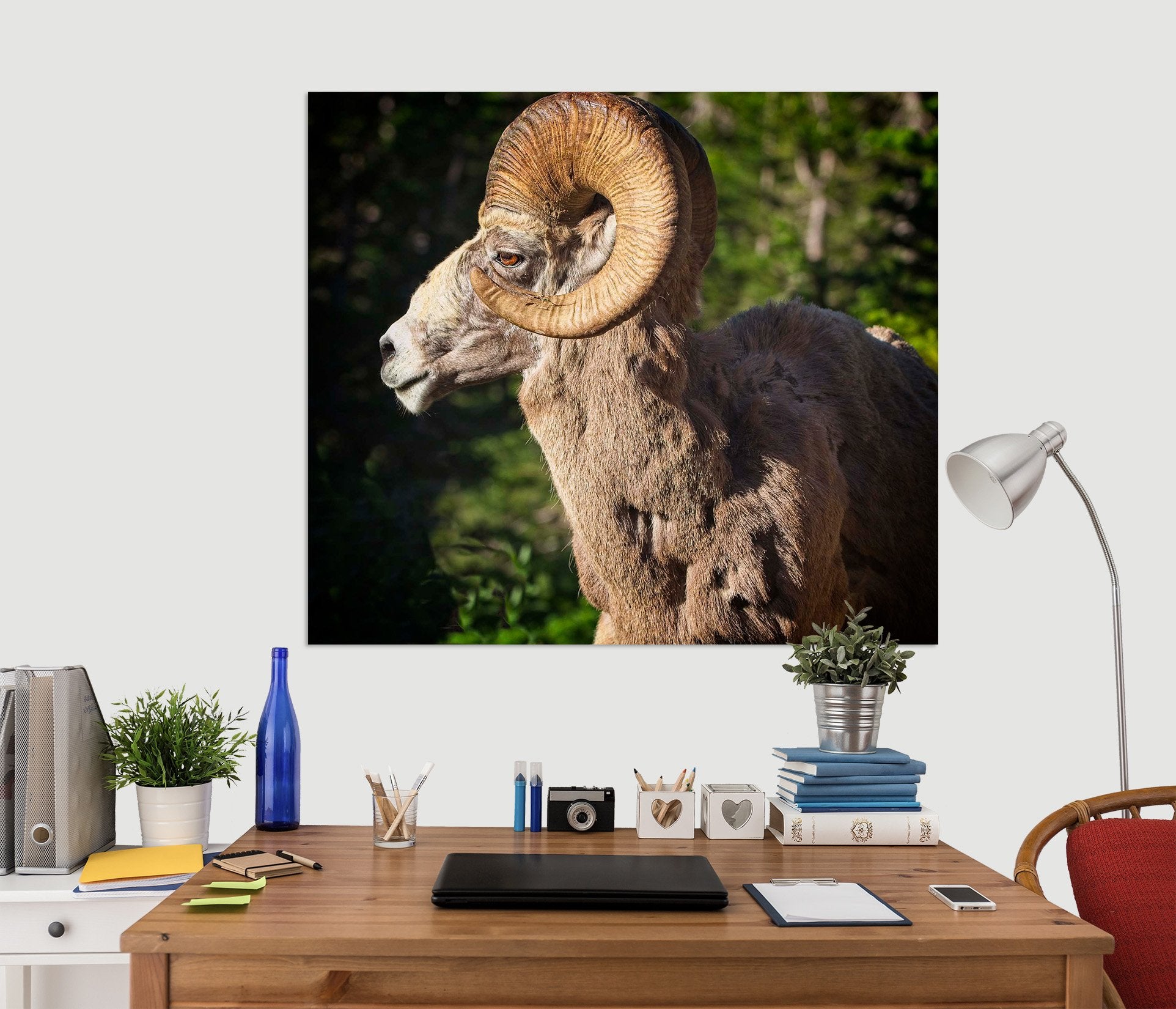 3D Bighorn Ram 005 Kathy Barefield Wall Sticker Wallpaper AJ Wallpaper 2