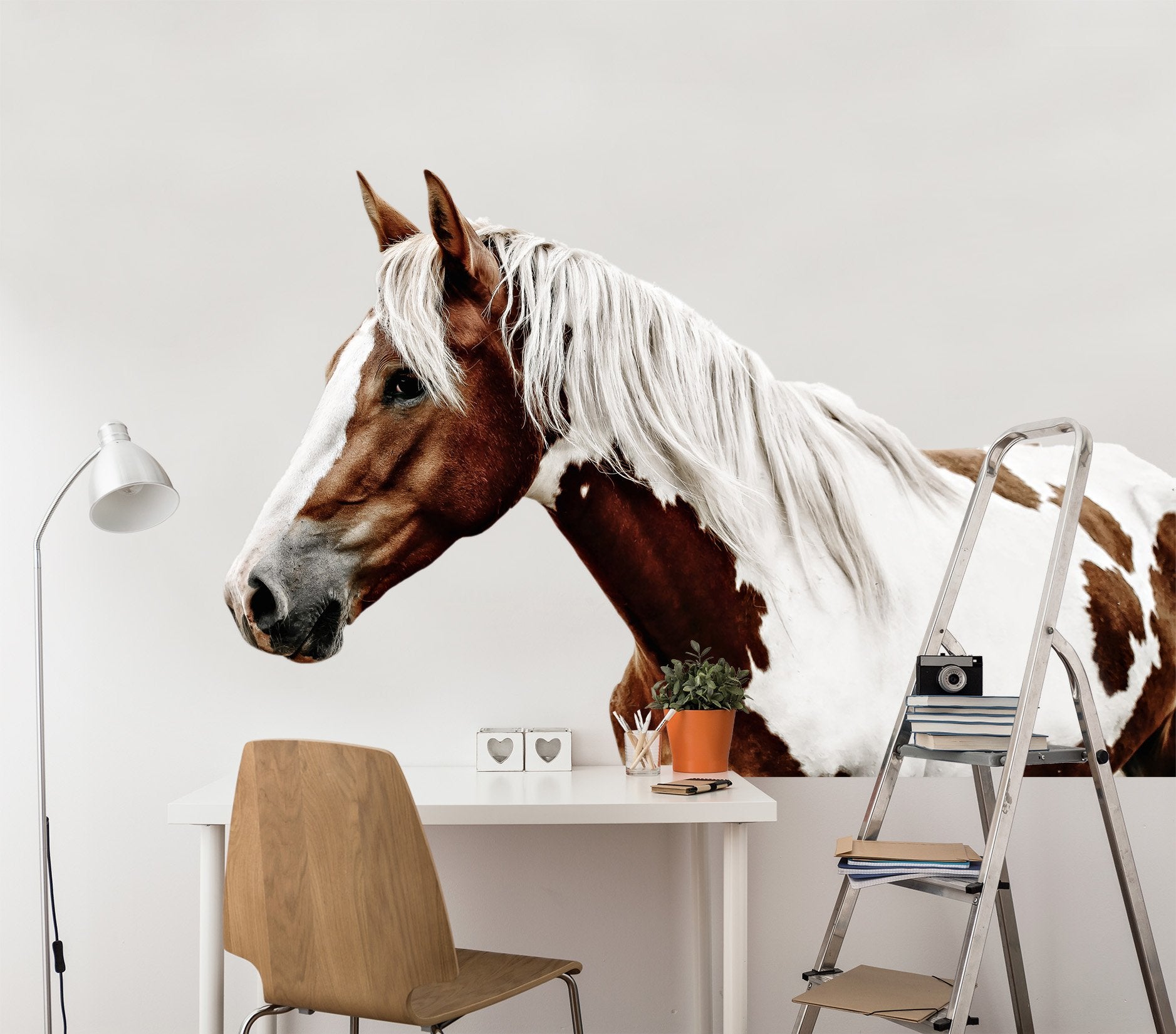 3D Handsome Horse 130 Animals Wall Stickers Wallpaper AJ Wallpaper