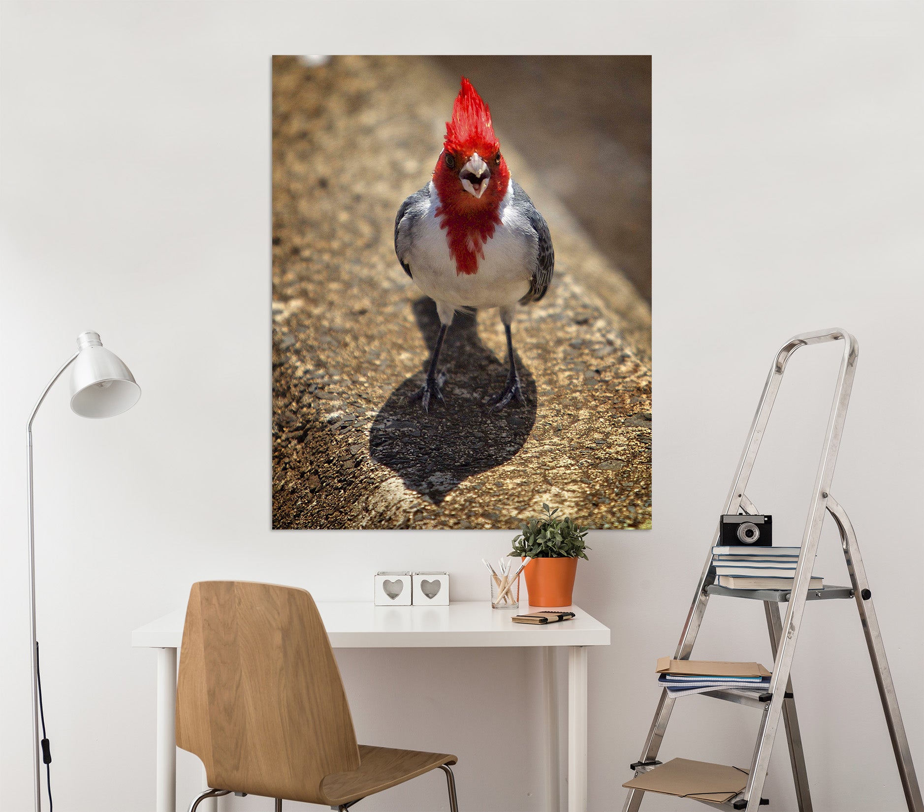 3D Sassy Cardinal 043 Kathy Barefield Wall Sticker