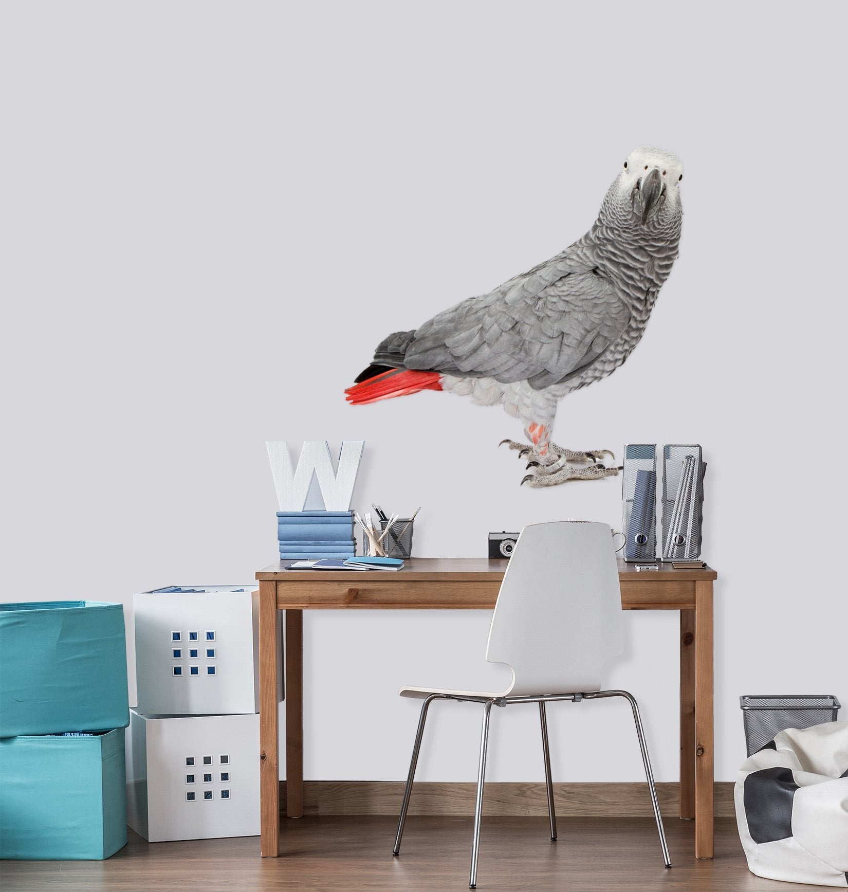 3D Bird Turning Head 165 Animals Wall Stickers Wallpaper AJ Wallpaper