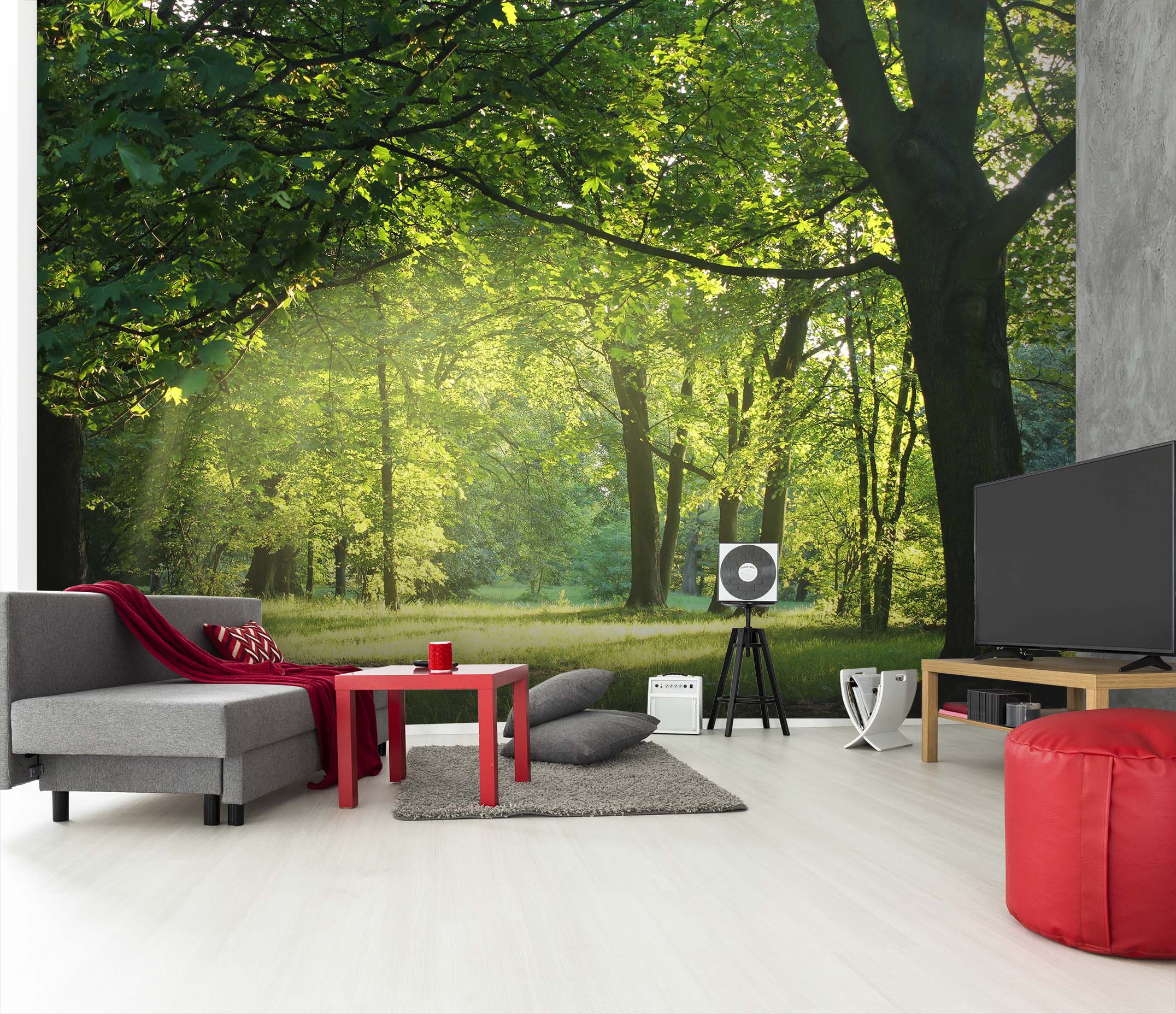 3D Wooded Park 142 Wall Murals