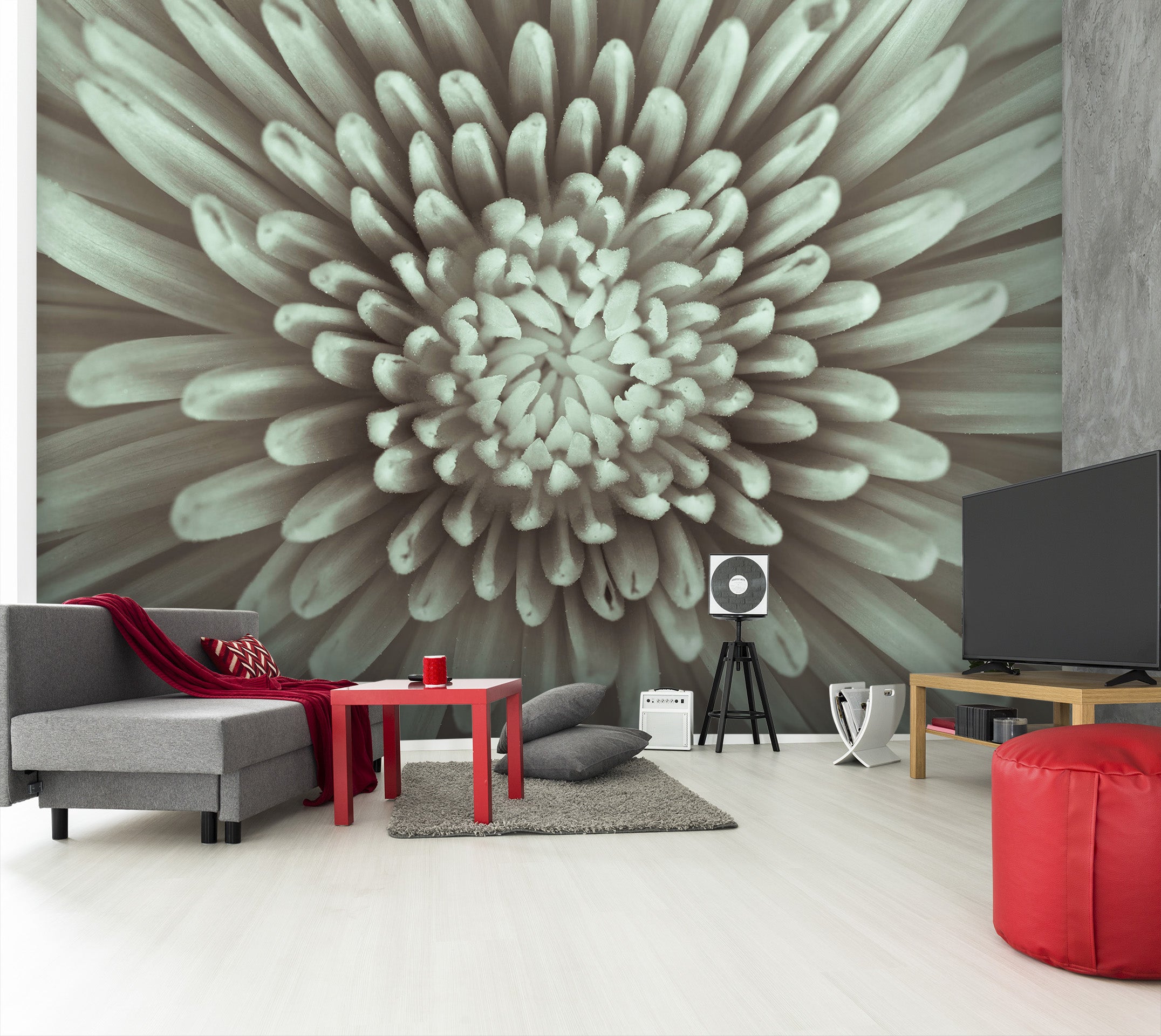 3D White Daisy 1401 Assaf Frank Wall Mural Wall Murals