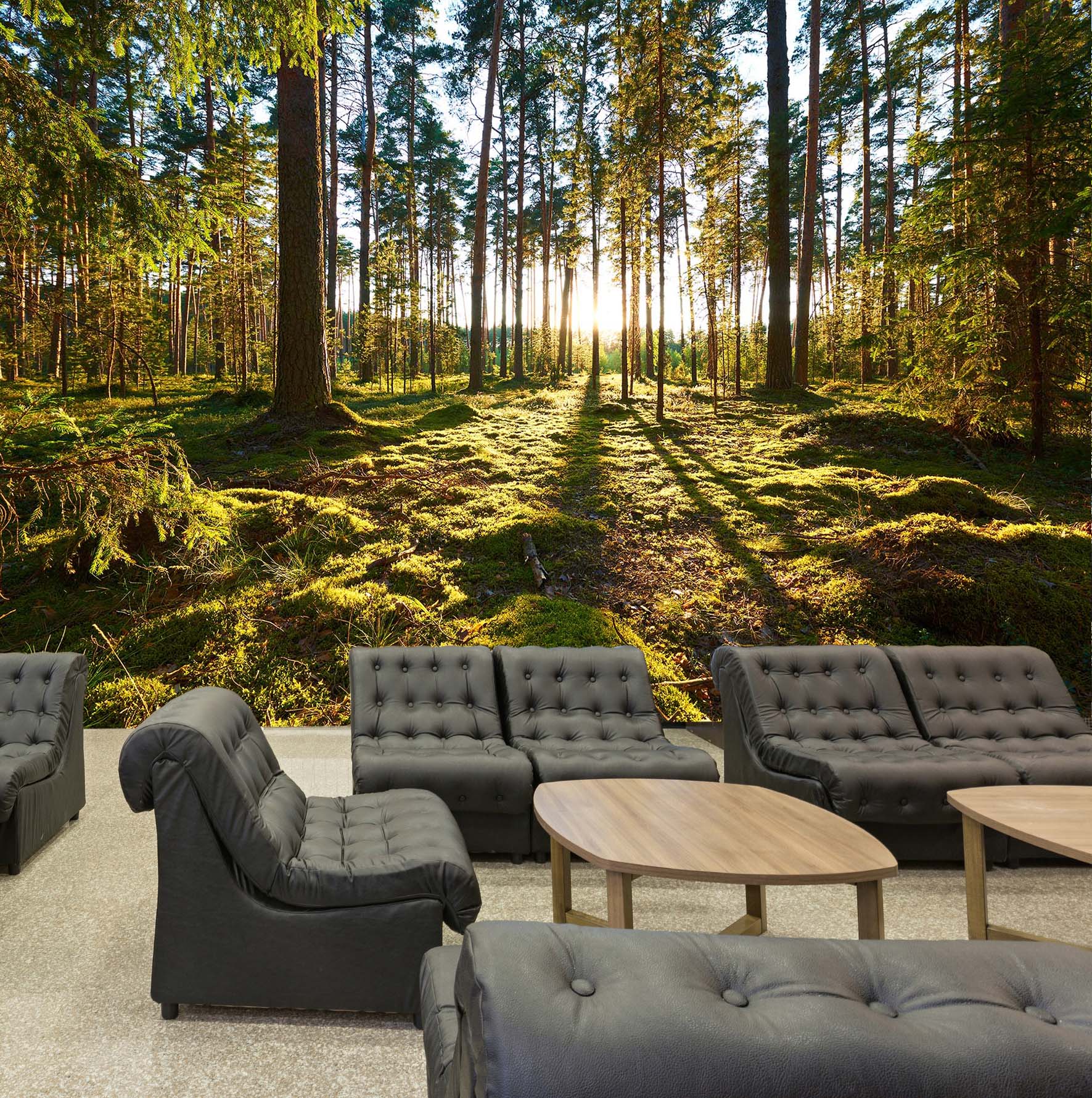 3D Forest Lawn 12 Wall Murals Wallpaper AJ Wallpaper 2