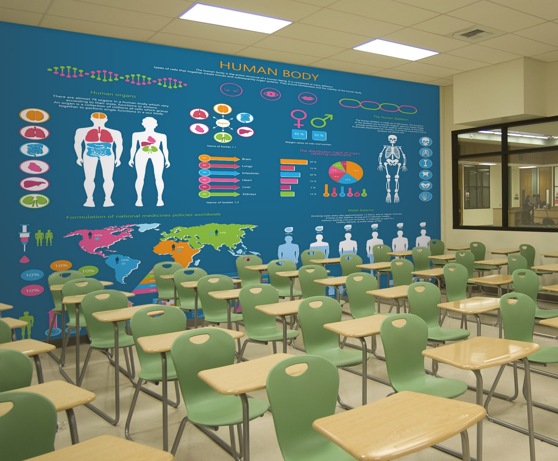 3D Human Body 179 Wall Murals Wallpaper AJ Wallpaper 2