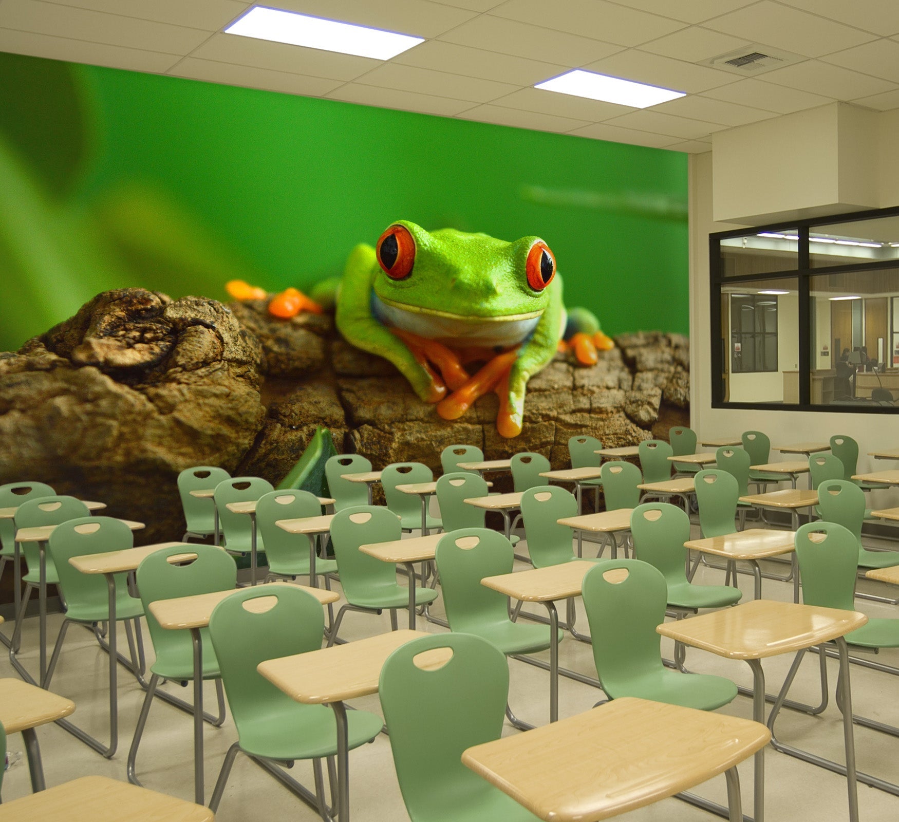 3D Green Frog 162 Wall Murals Wallpaper AJ Wallpaper 2