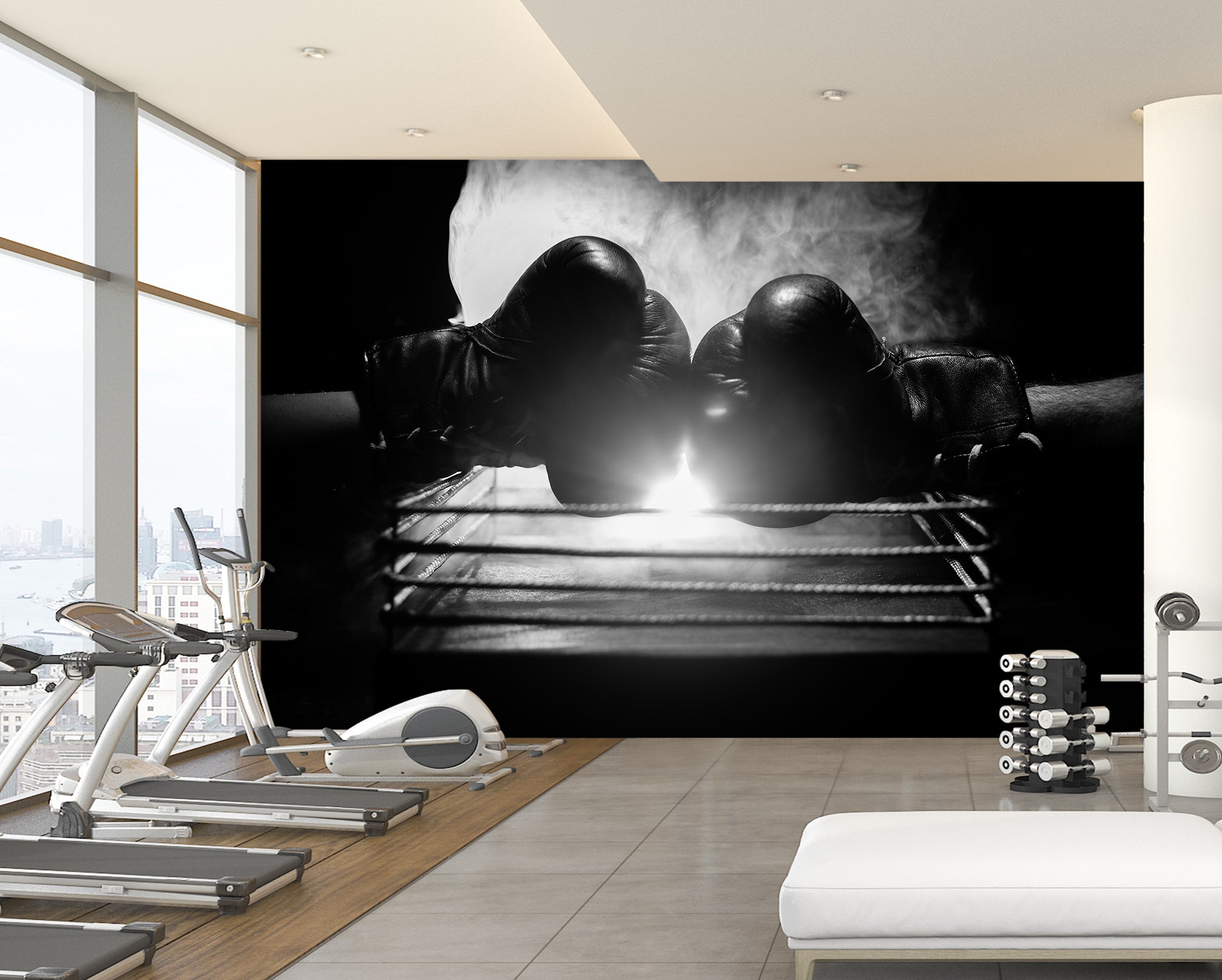 3D Boxing Gloves 305 Wall Murals