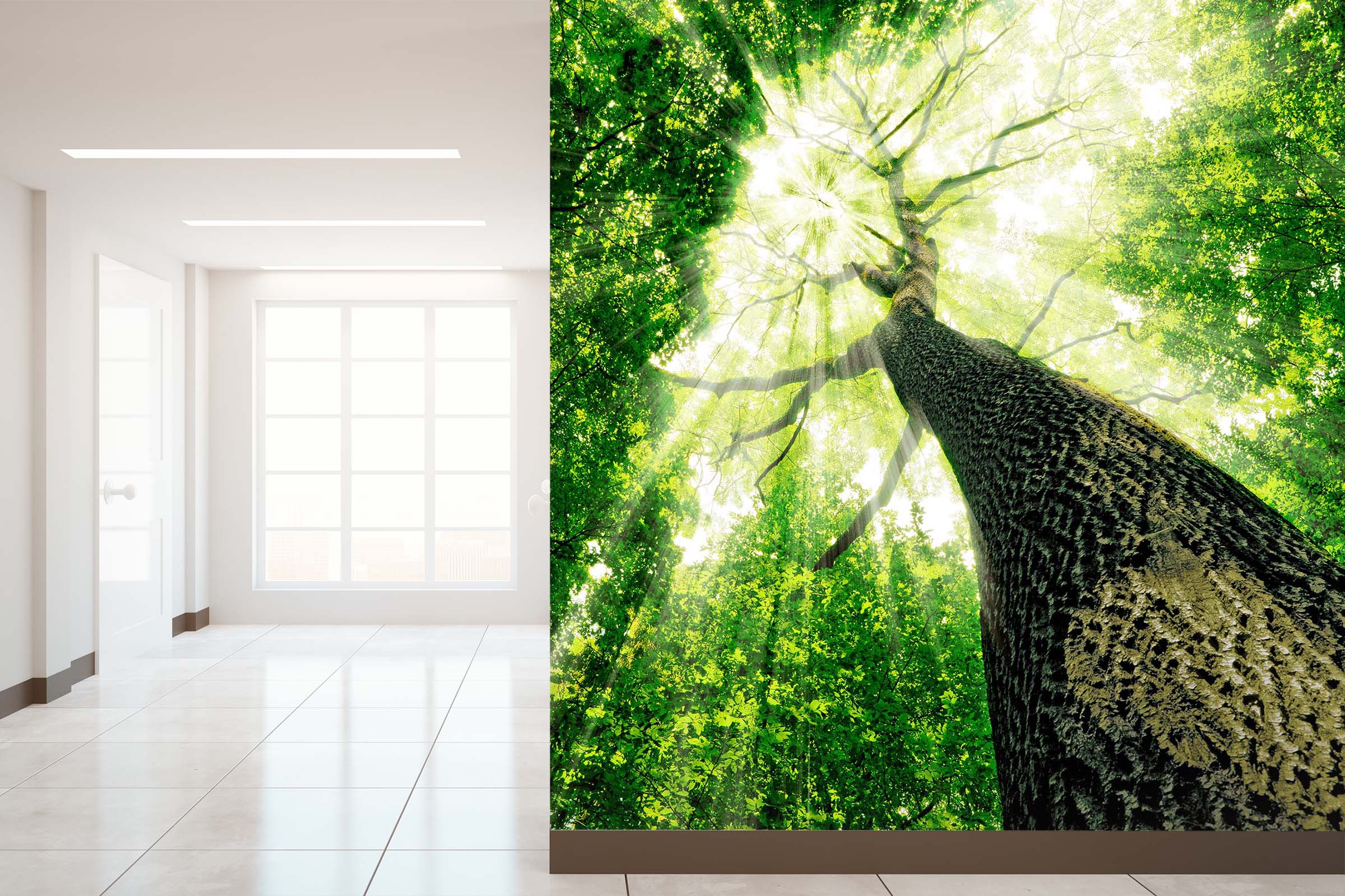 3D Landscape Tree 50 Wall Murals Wallpaper AJ Wallpaper