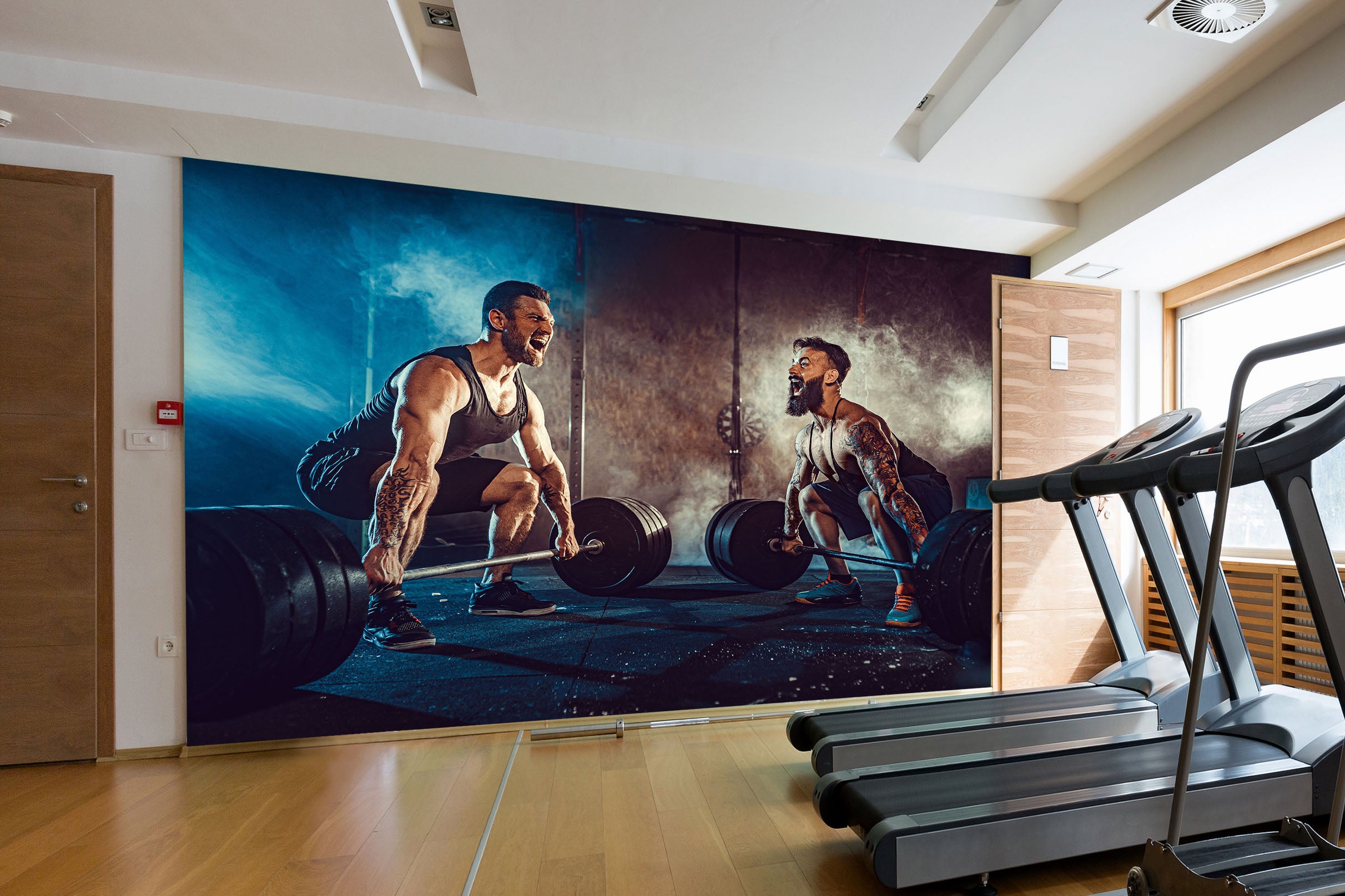 3D Squat Barbell 311 Wall Murals