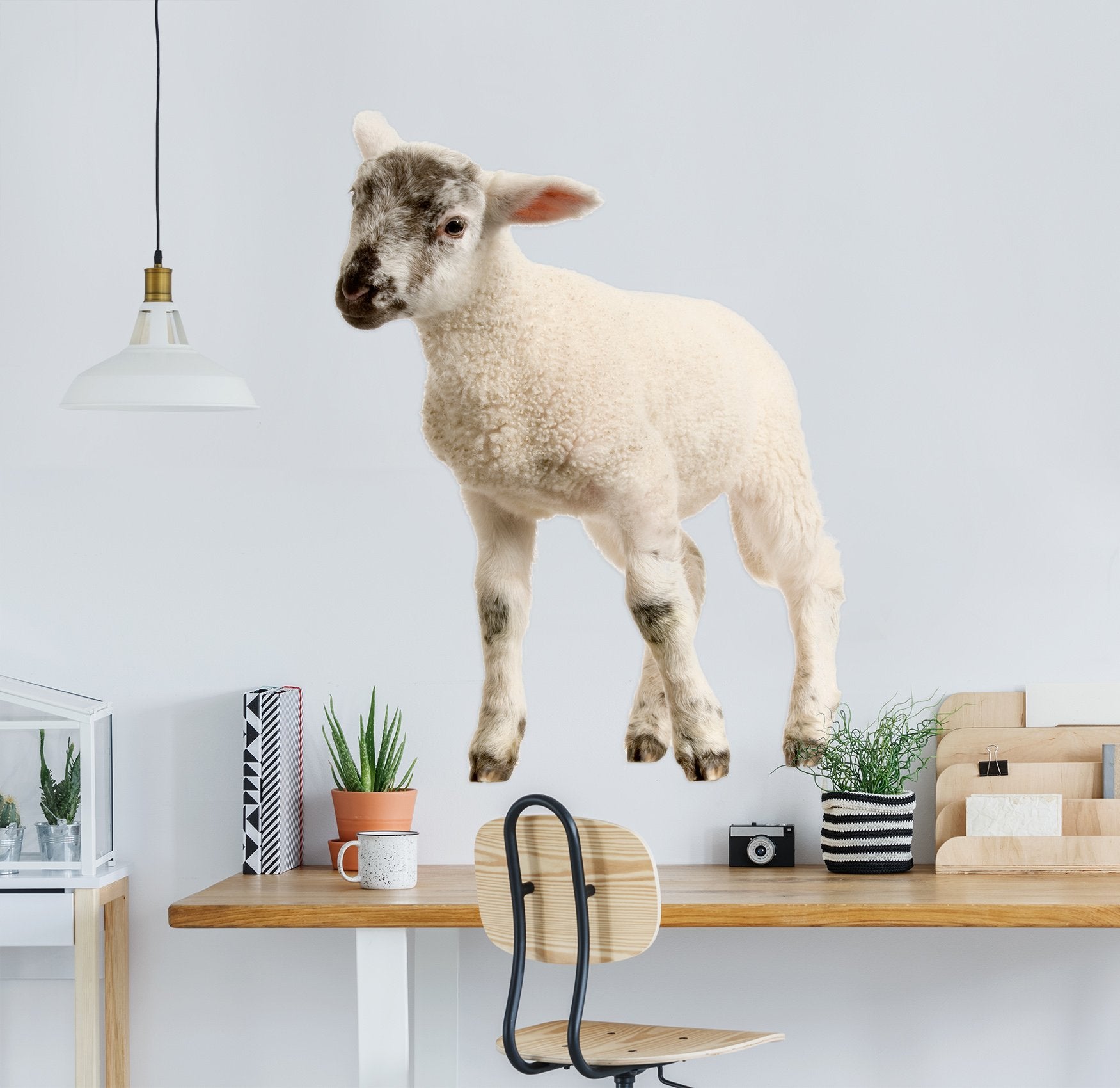 3D Black and white head sheep 009 Animals Wall Stickers Wallpaper AJ Wallpaper
