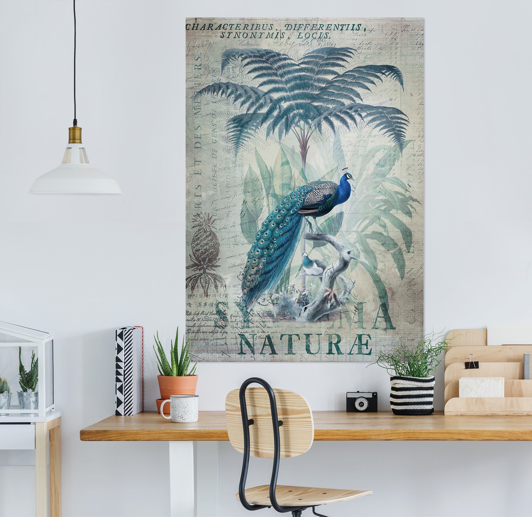 3D Coconut Peacock 1028 Andrea haase Wall Sticker