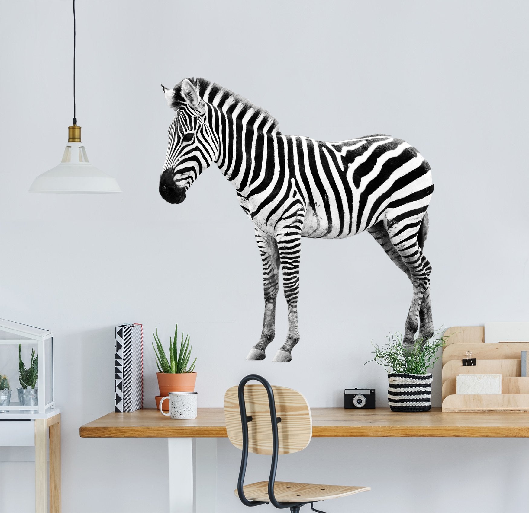 3D Standing Zebra 098 Animals Wall Stickers Wallpaper AJ Wallpaper
