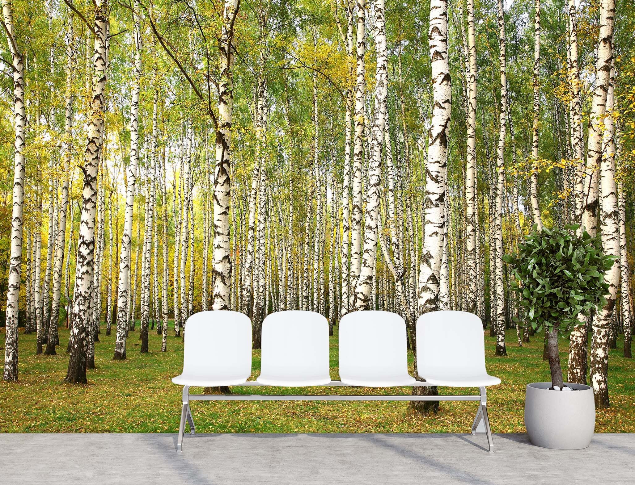 3D Forest Maple Leaf 020 Wall Murals Wallpaper AJ Wallpaper 2