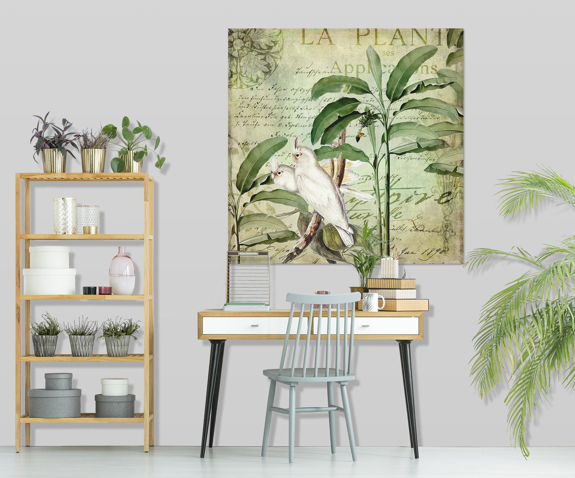 3D Kakadu 054 Andrea haase Wall Sticker