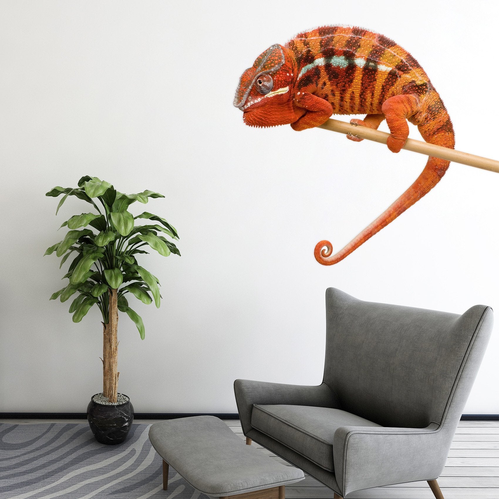 3D Chameleon 019 Animals Wall Stickers Wallpaper AJ Wallpaper