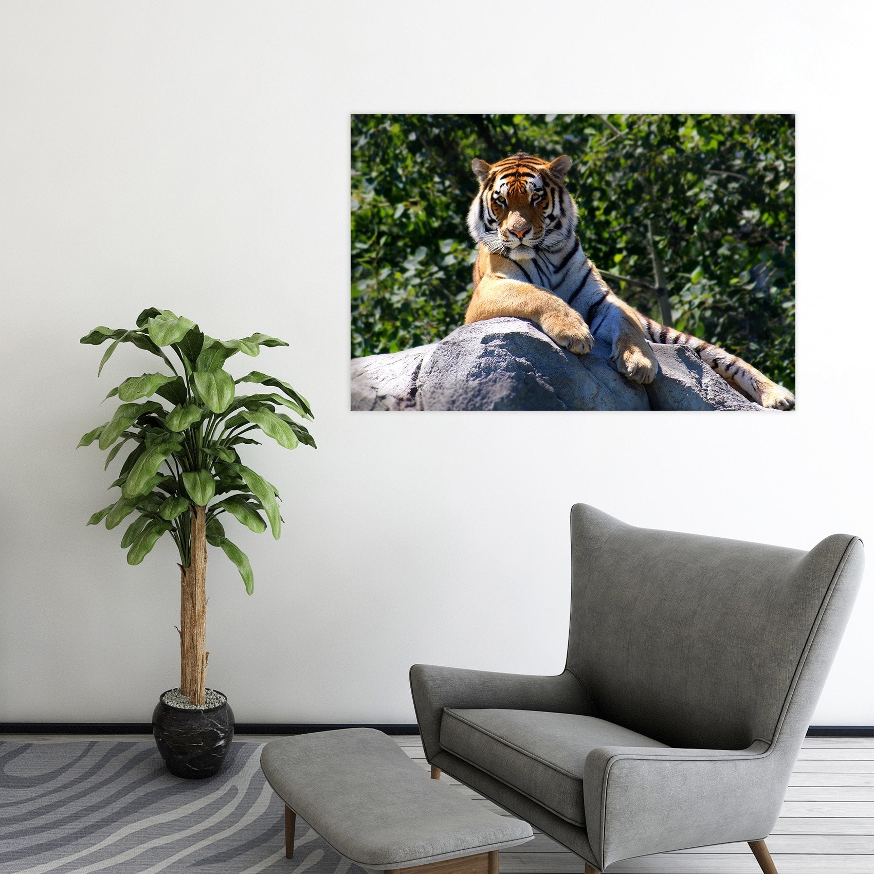 3D Tiger King 125 Animal Wall Stickers Wallpaper AJ Wallpaper 2
