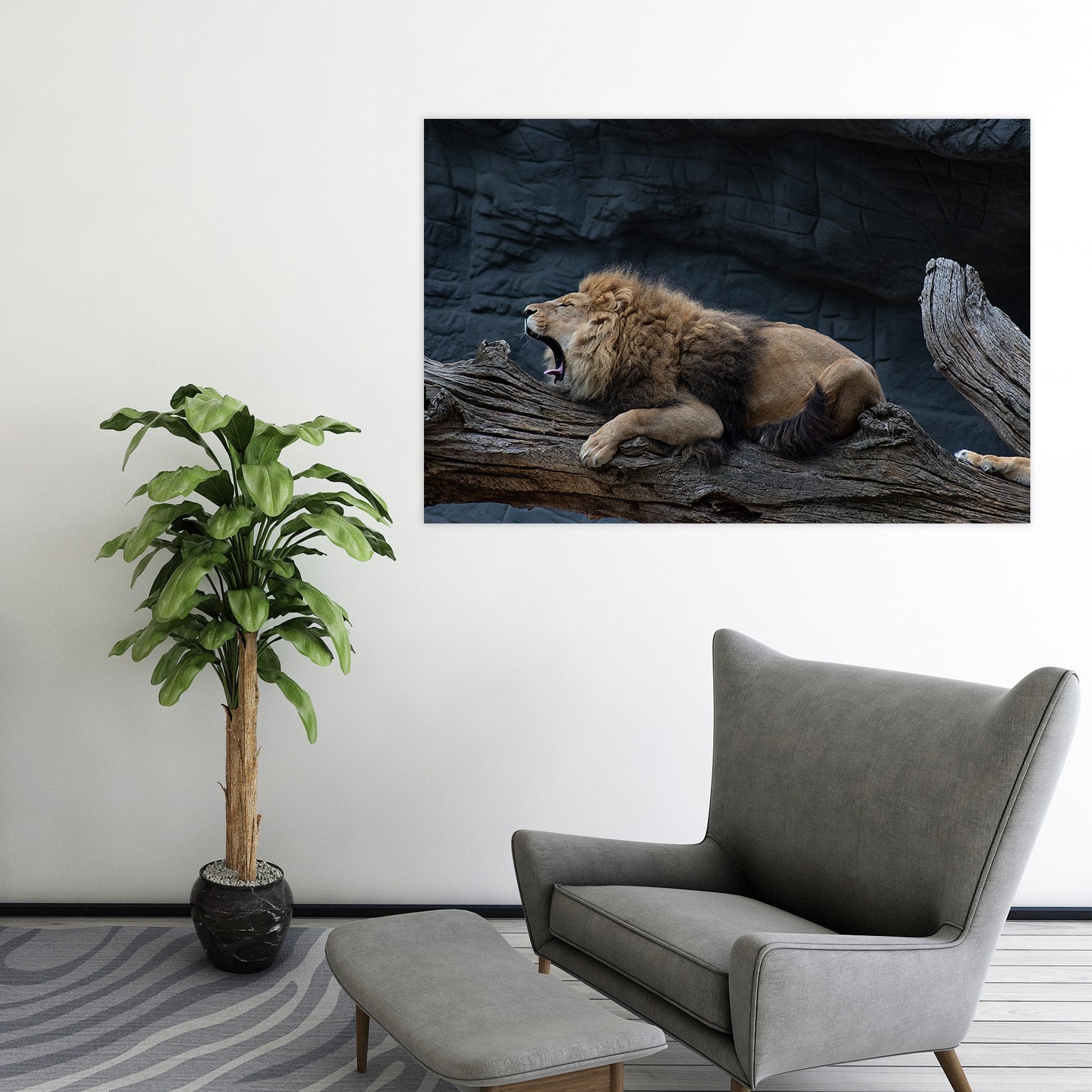 3D Lion Cub 96 Animal Wall Stickers Wallpaper AJ Wallpaper 2