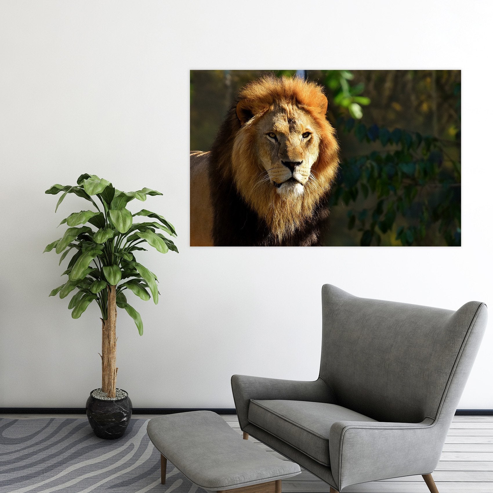 3D Forest Lion 95 Animal Wall Stickers Wallpaper AJ Wallpaper 2