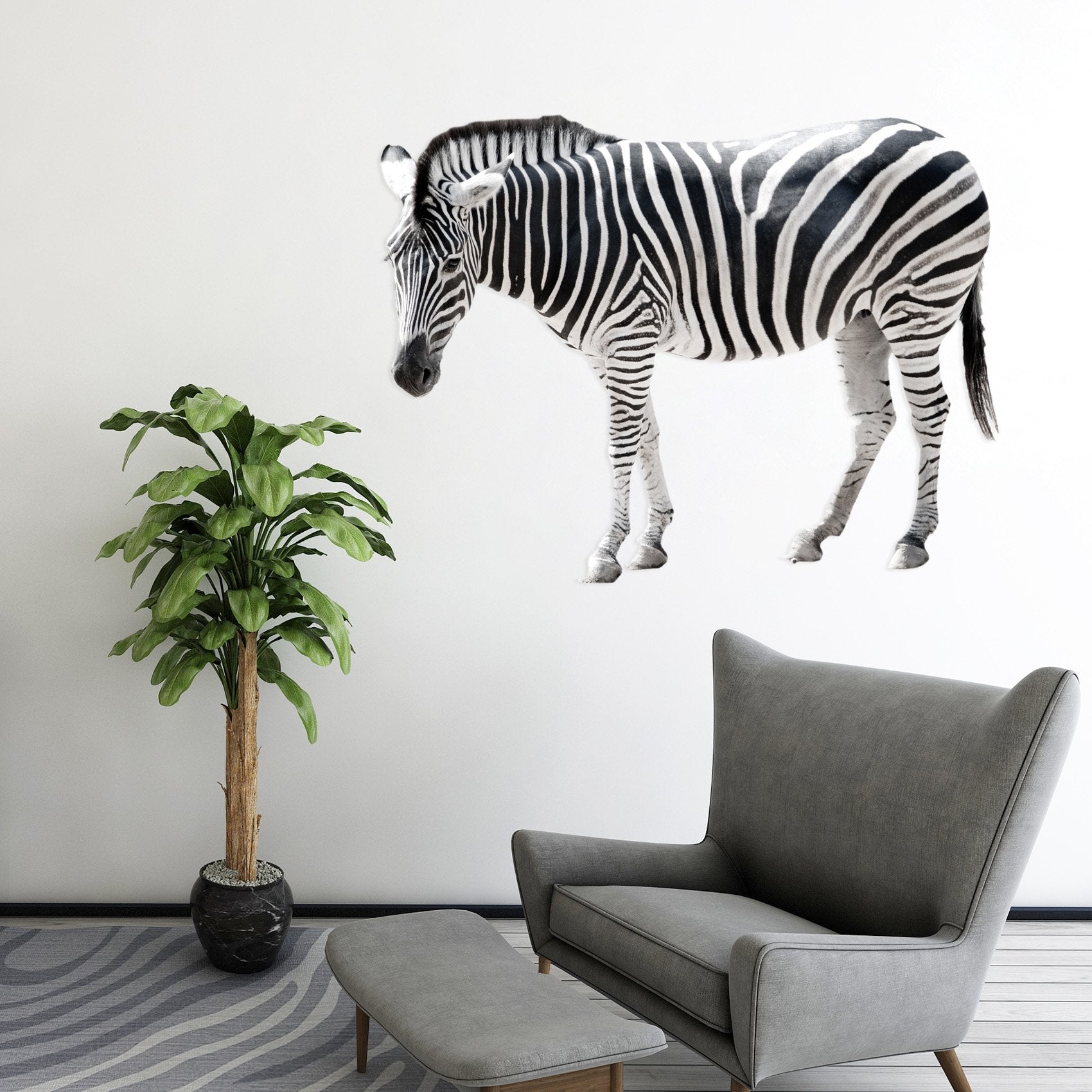 3D Zebra 075 Animals Wall Stickers Wallpaper AJ Wallpaper