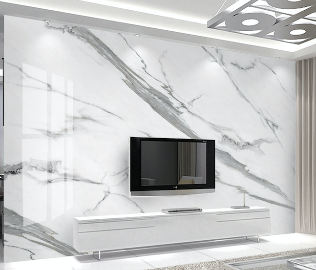 3D Ink Painting WG031 Wall Murals