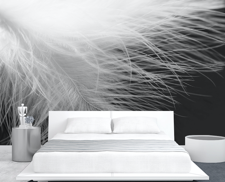 3D Soft Feather WG286 Wall Murals