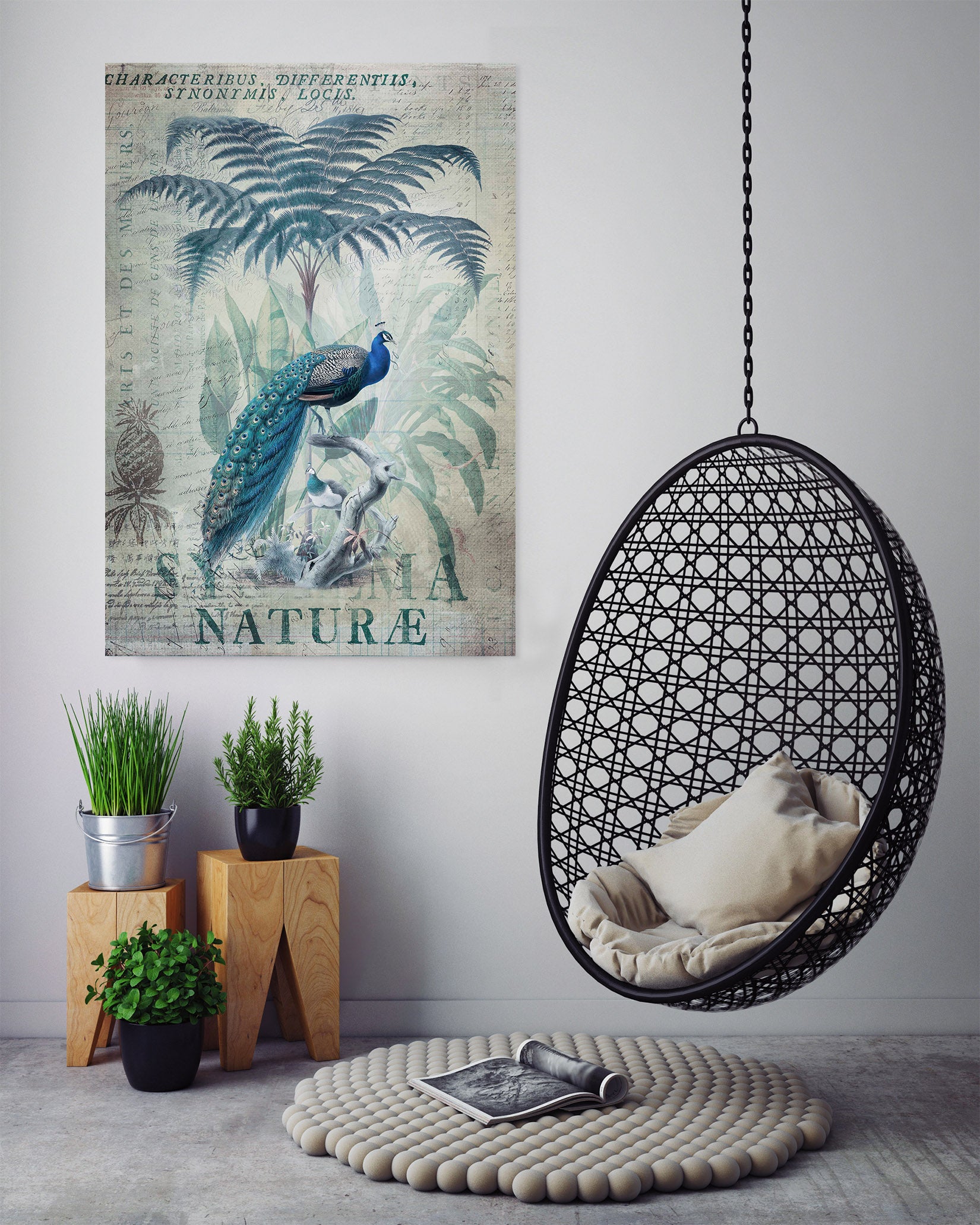 3D Coconut Peacock 1028 Andrea haase Wall Sticker
