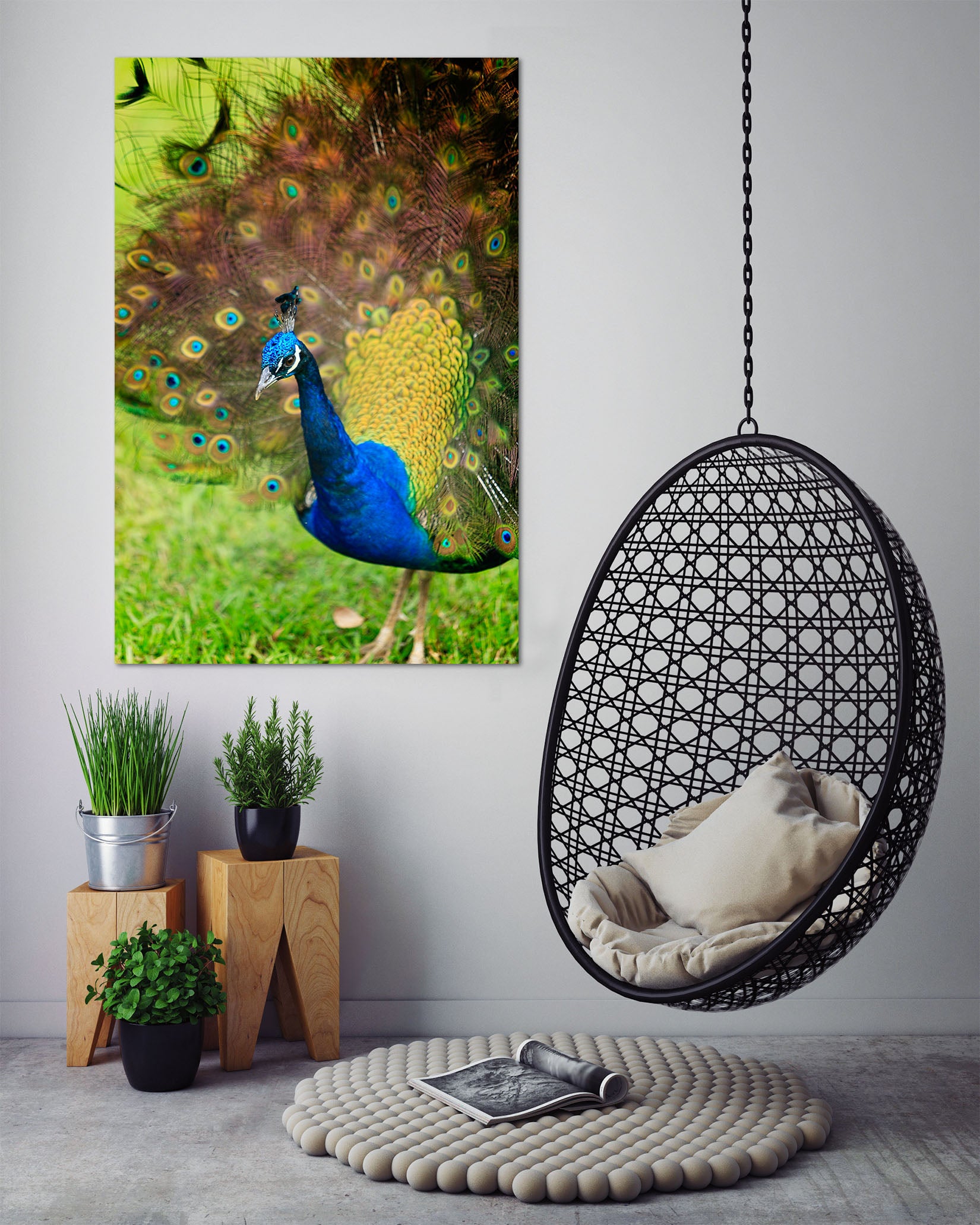 3D Peacock 62132 Kathy Barefield Wall Sticker