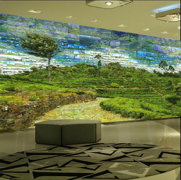 3D Green Plants Hill 787 Wallpaper AJ Wallpaper