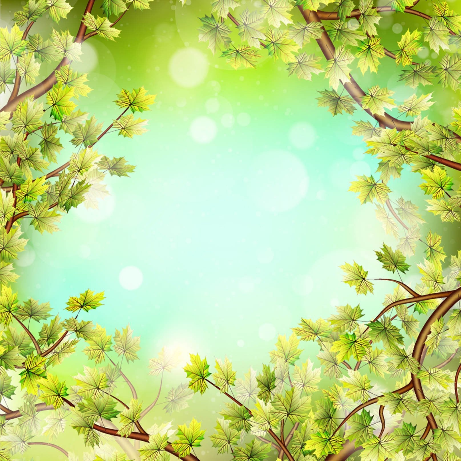 Blue Sky Green Leaves Wallpaper AJ Wallpaper