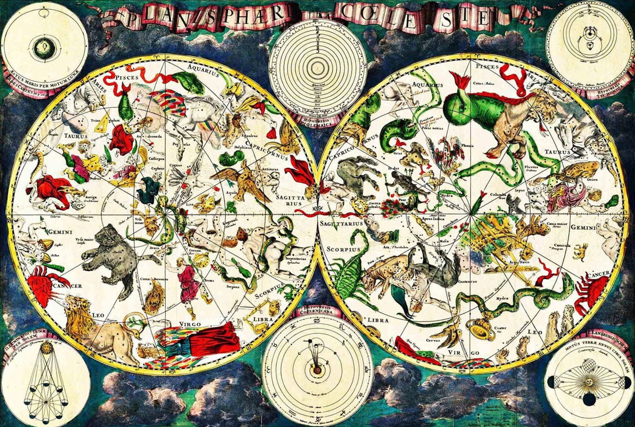 Animals Earth Patterns Wallpaper AJ Wallpaper