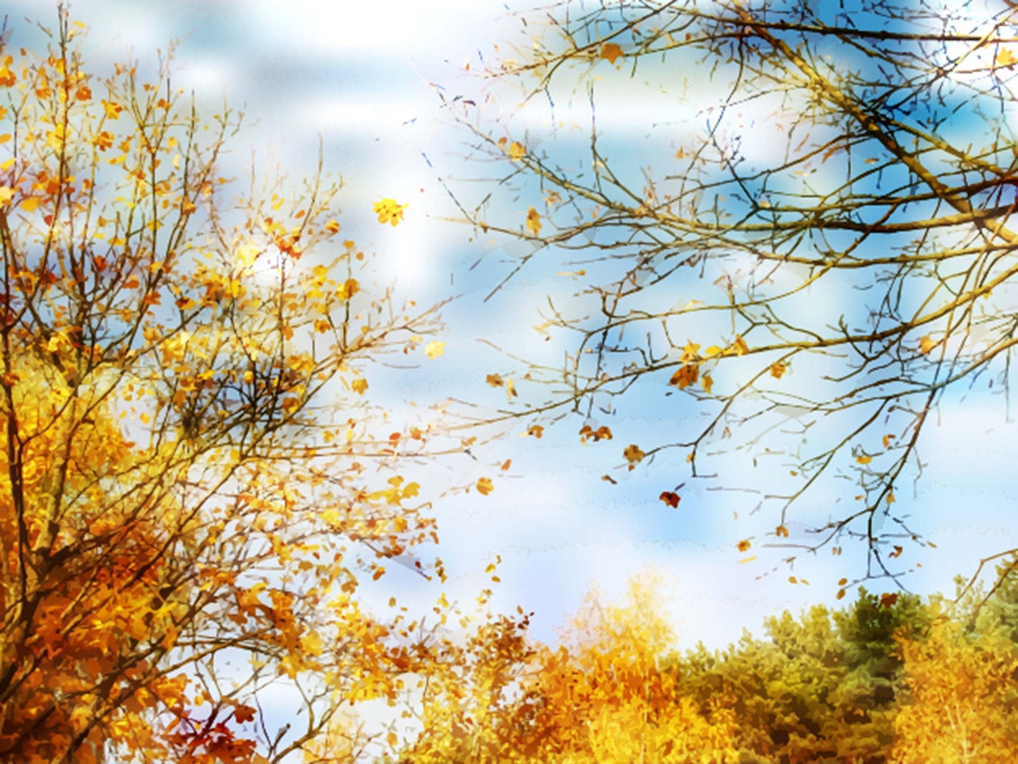 Autumn Trees Yellow Leaves Wallpaper AJ Wallpaper