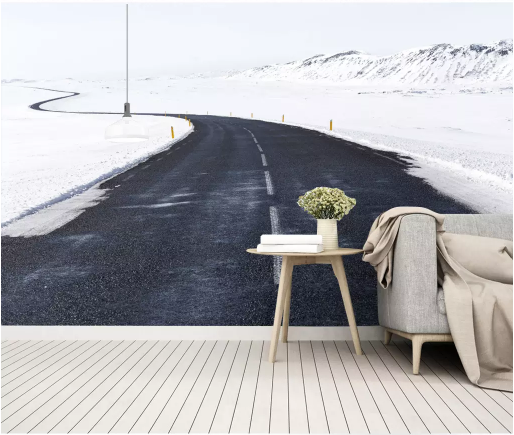 3D Heavy Snow Road 2012 Wall Murals