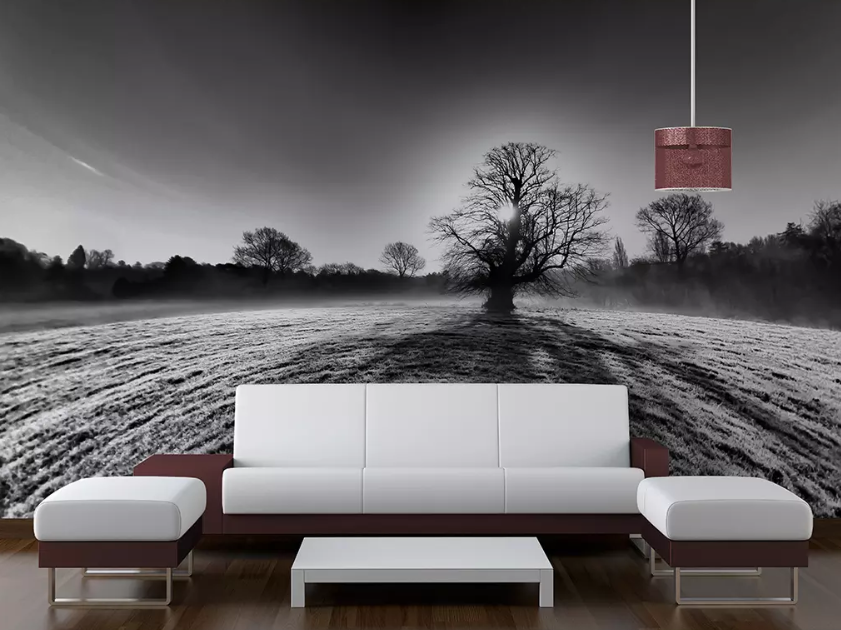 3D Big Tree Shadow 1227 Wallpaper AJ Wallpaper 2