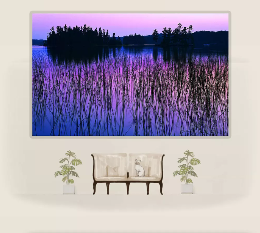 3D Night Reed River 1196 Wallpaper AJ Wallpaper 2