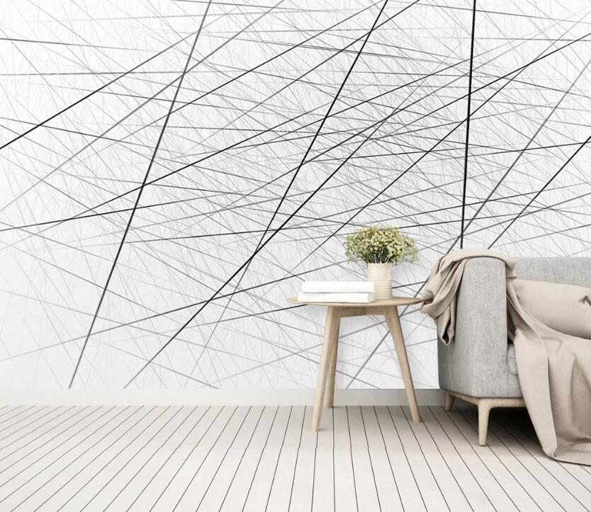 3D Black Drawing WC2299 Wall Murals