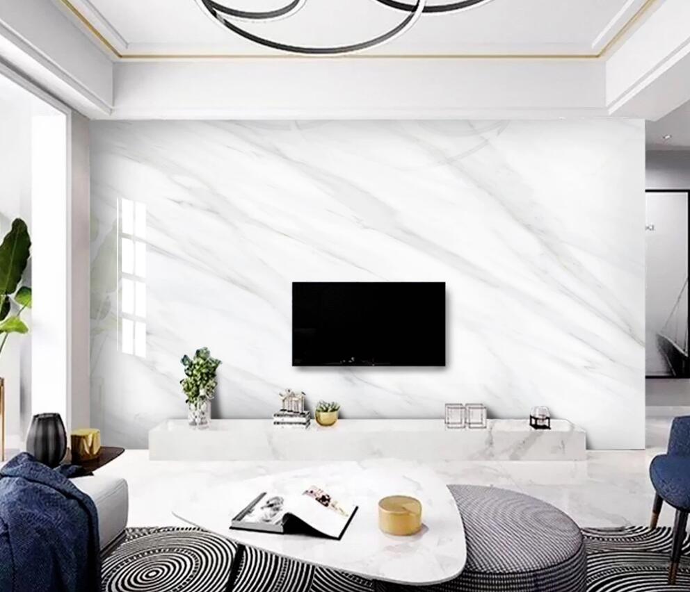 3D Shadow Spider Web 1422 Wall Murals