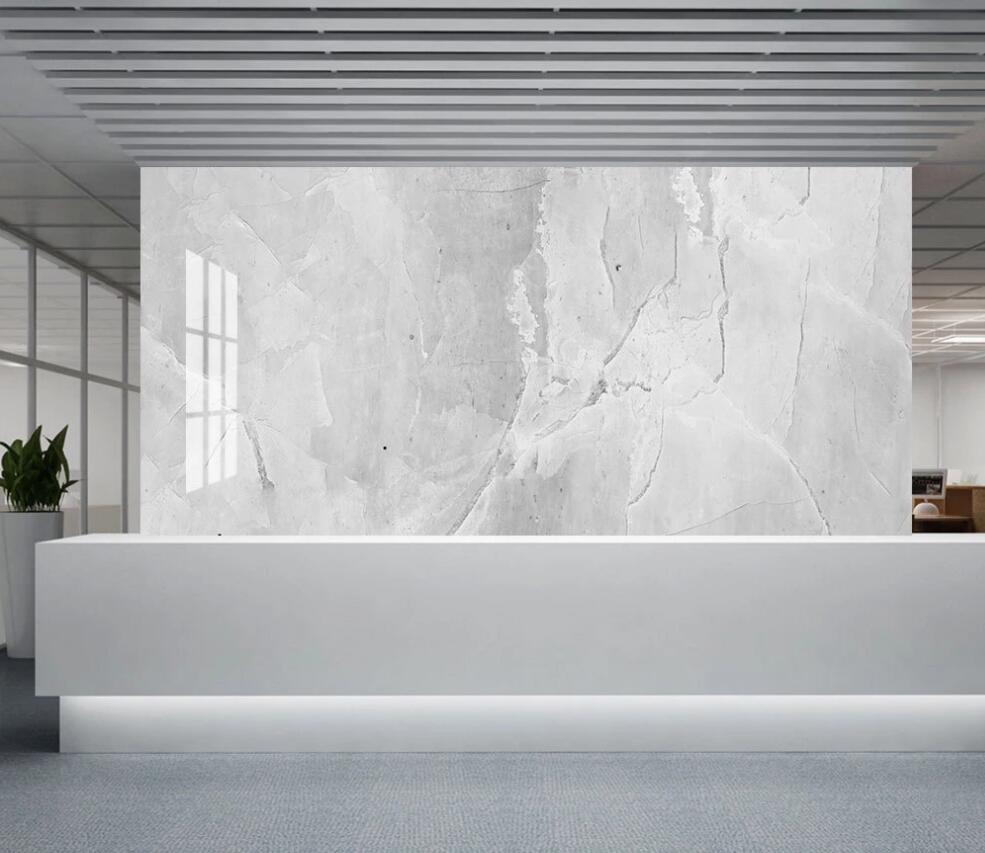 3D Light White And Gray 1362 Wall Murals