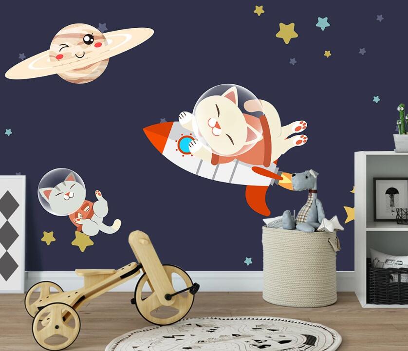 3D Dreaming Cosmic Cat 1998 Wall Murals