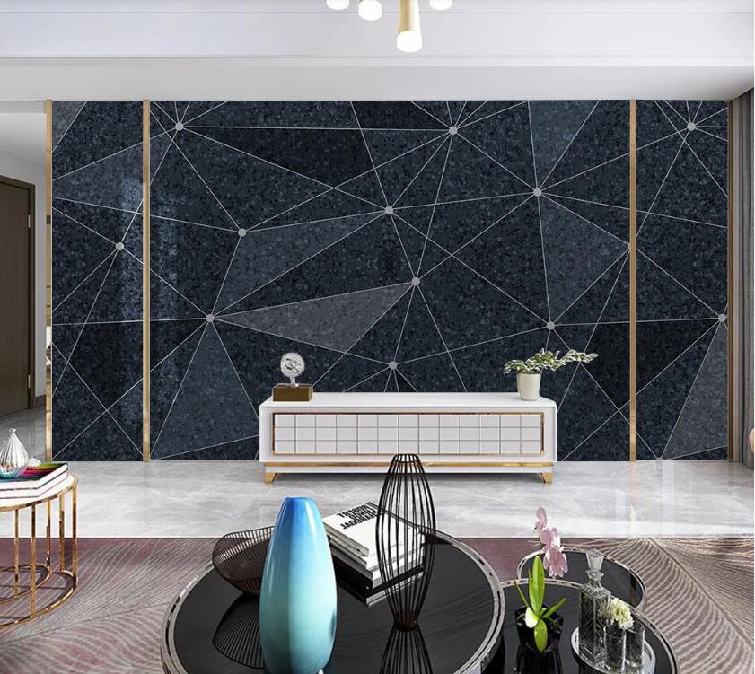 3D Black Dot Connection 1905 Wall Murals