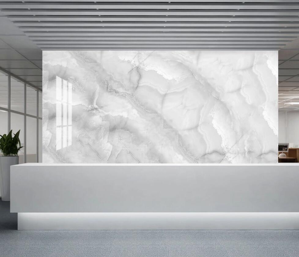 3D Advanced Light Gray 1274 Wall Murals