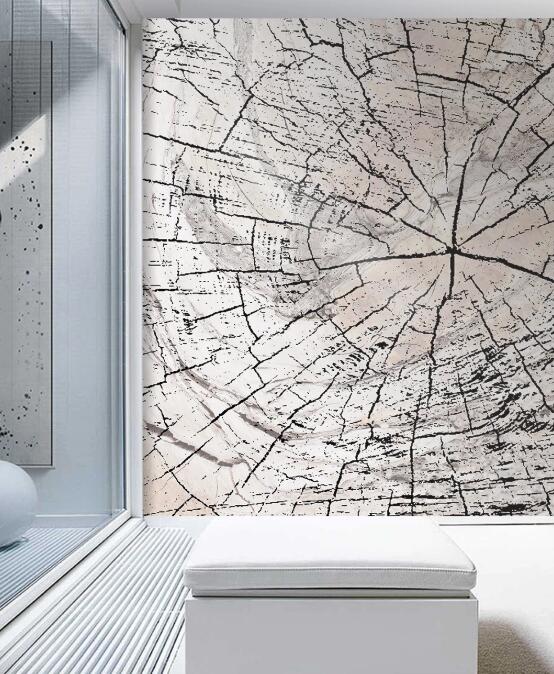 3D Spider Web Crack 2606 Wall Murals